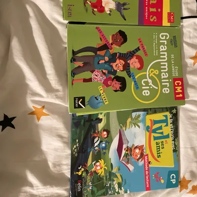 Lot de 3 manuels scolaires Cp et cm1 Français et lecture 